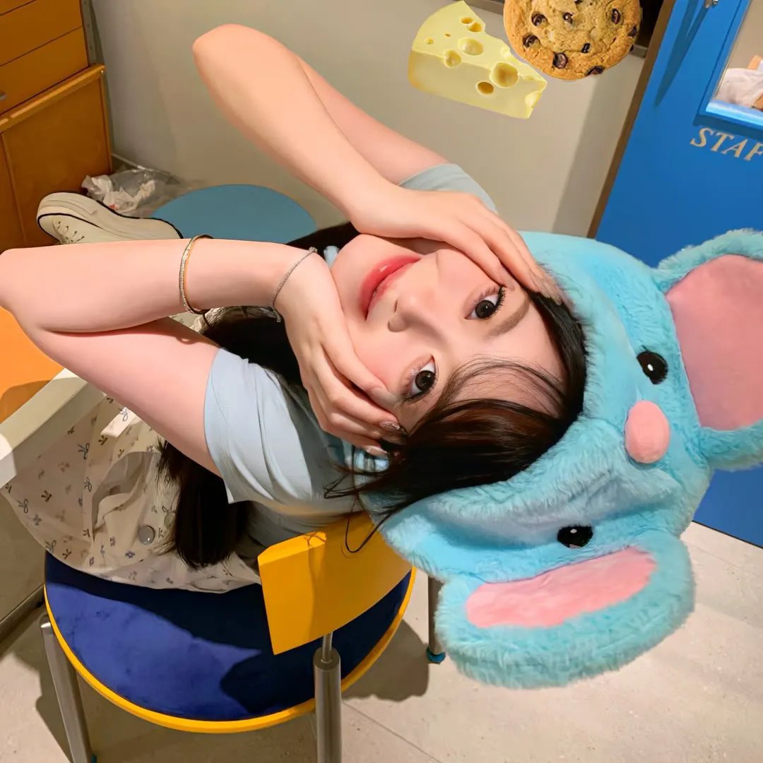 爱在猫咪疗愈时